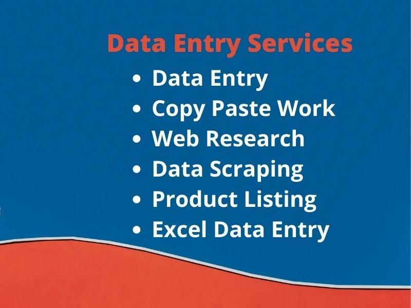 I will do data entry, copy paste, typing and data entry work