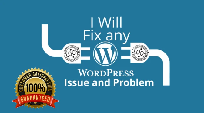 I will fix any issues or error of wordpress website fast