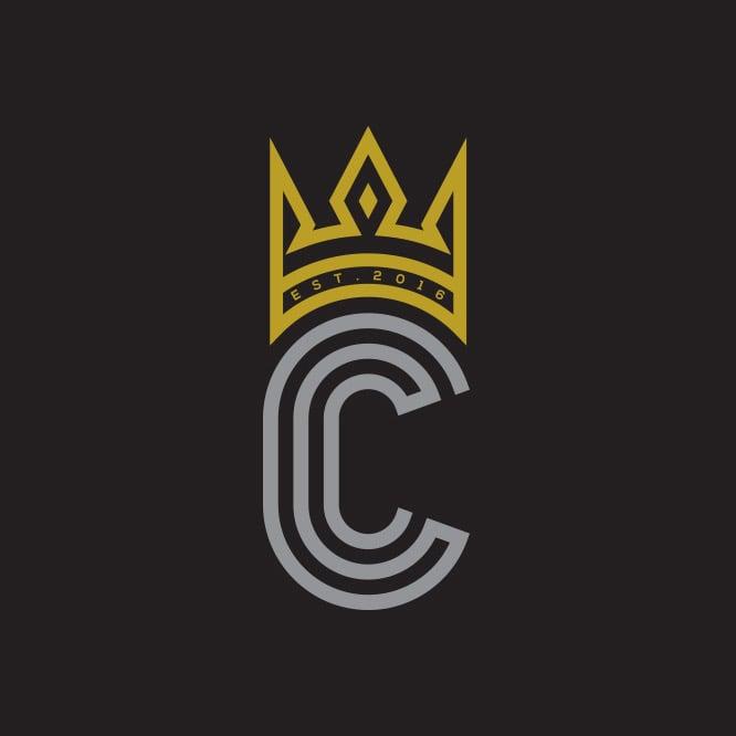 I will design unique LOGOS for your company/websites with in 1 day