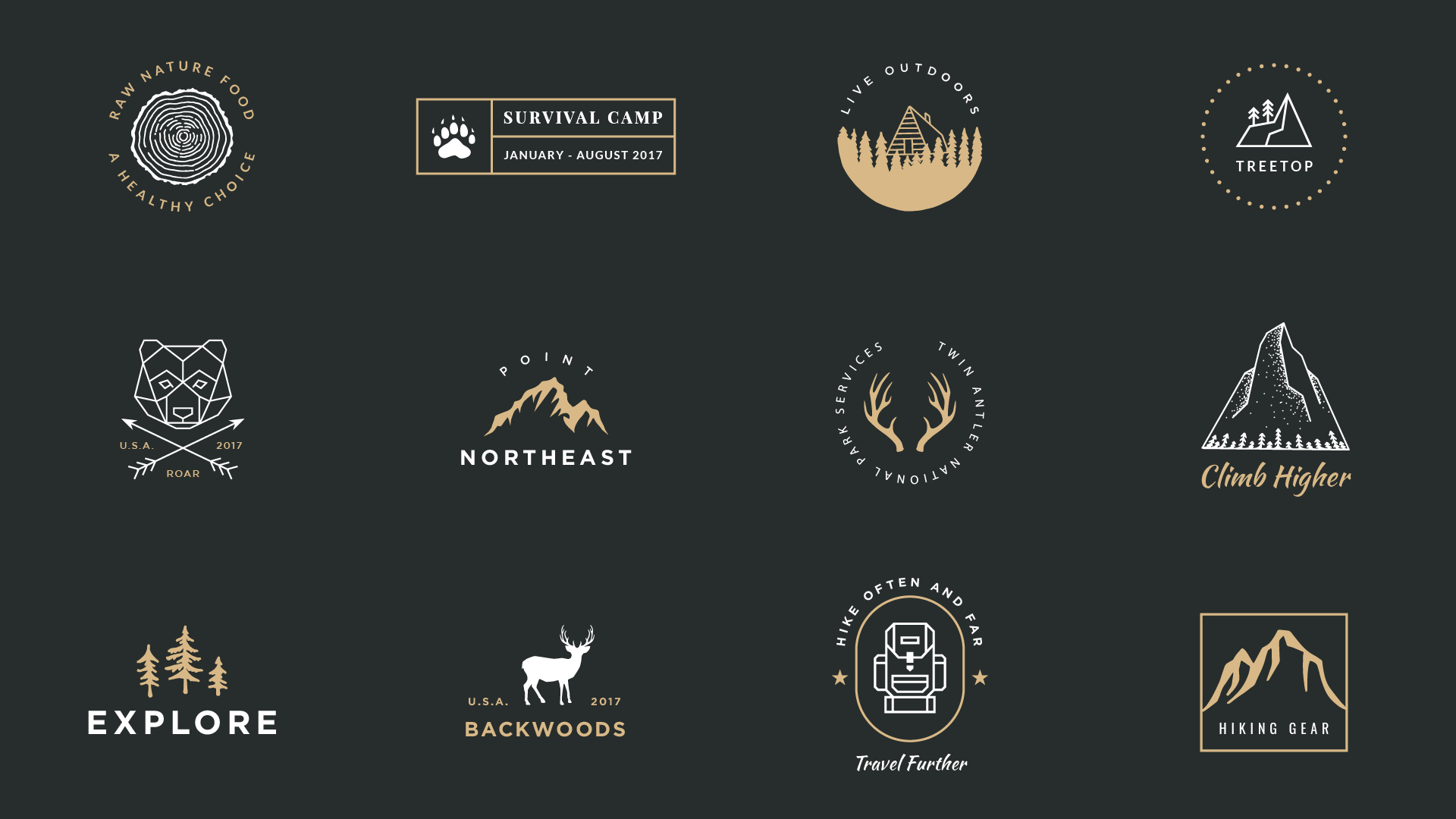 I'll do Modern Minimalist Business LOGO Design