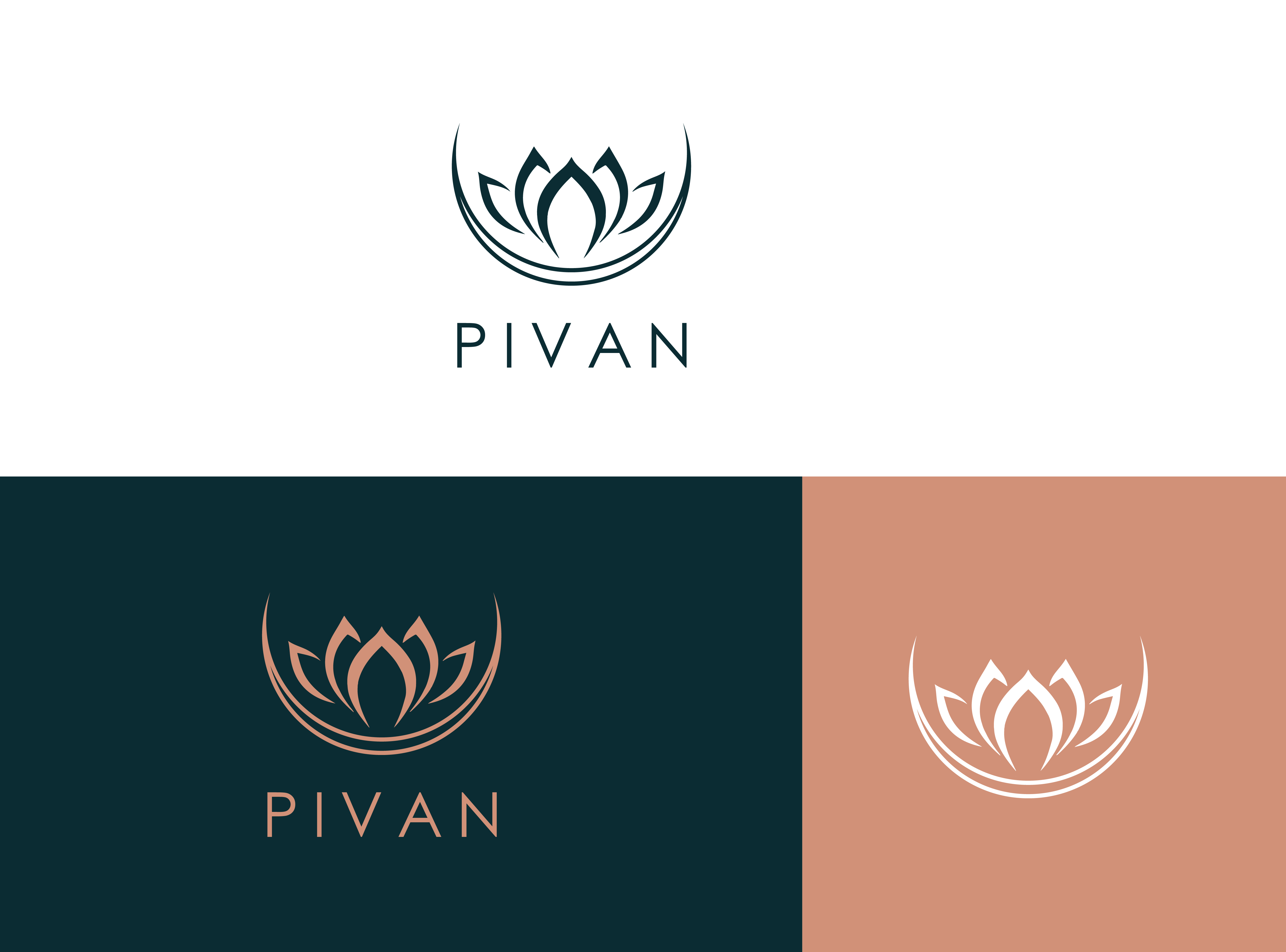 I will design professional logo design within 12 hours