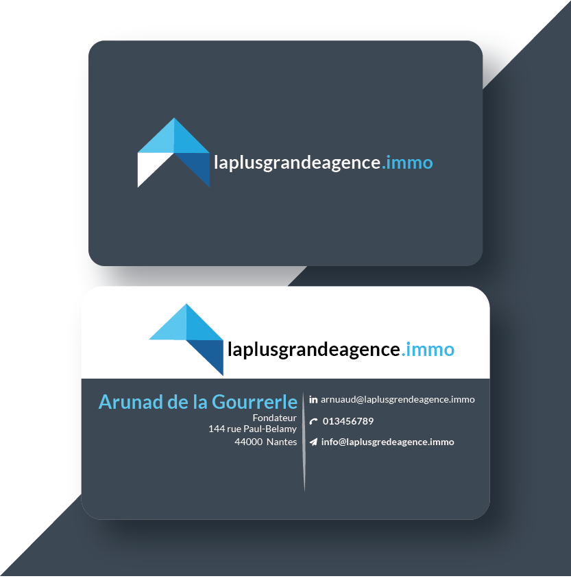  I will make business card and logo design 