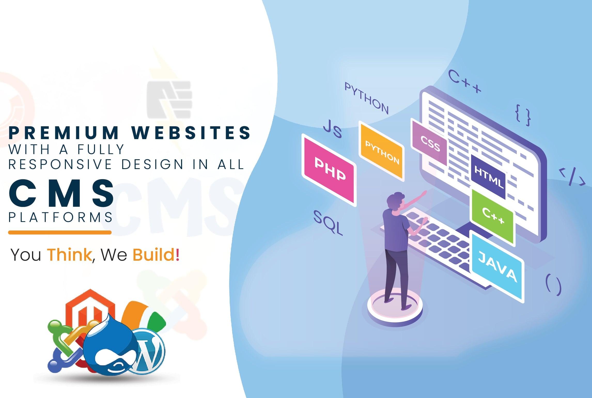 I will design a responsive website in all cms platforms for you