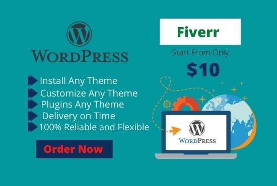 I will do wordpress theme,plugins installation and customization