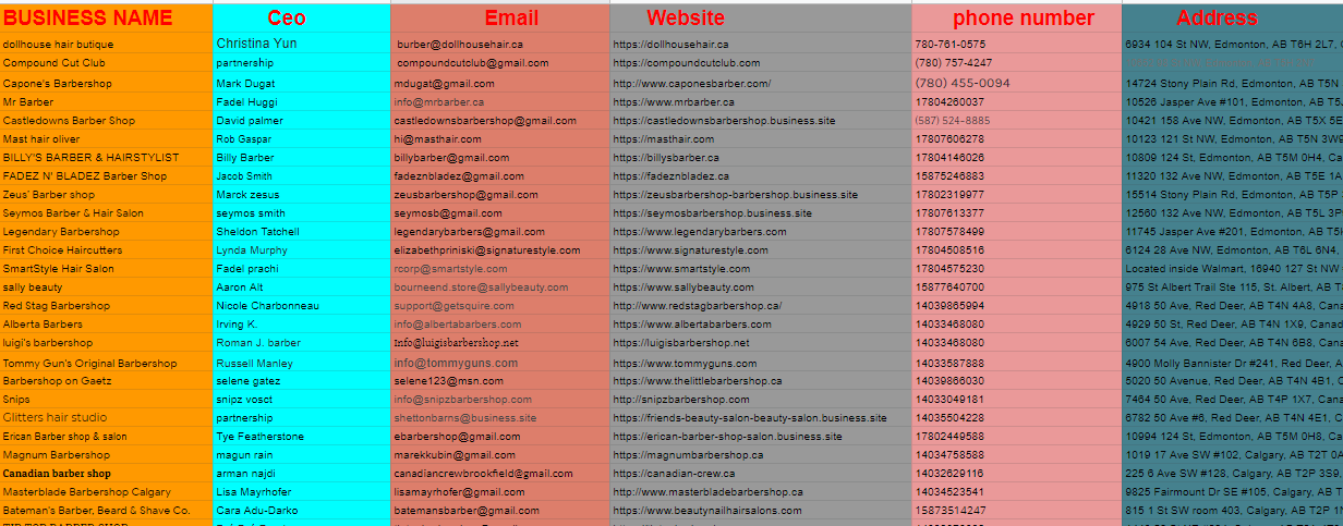 collect 20 usa leads with their (mail,phone number,address,website,social media links)