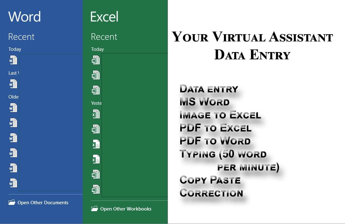 I will be your Virtual assistant of data entry for 8 hours work