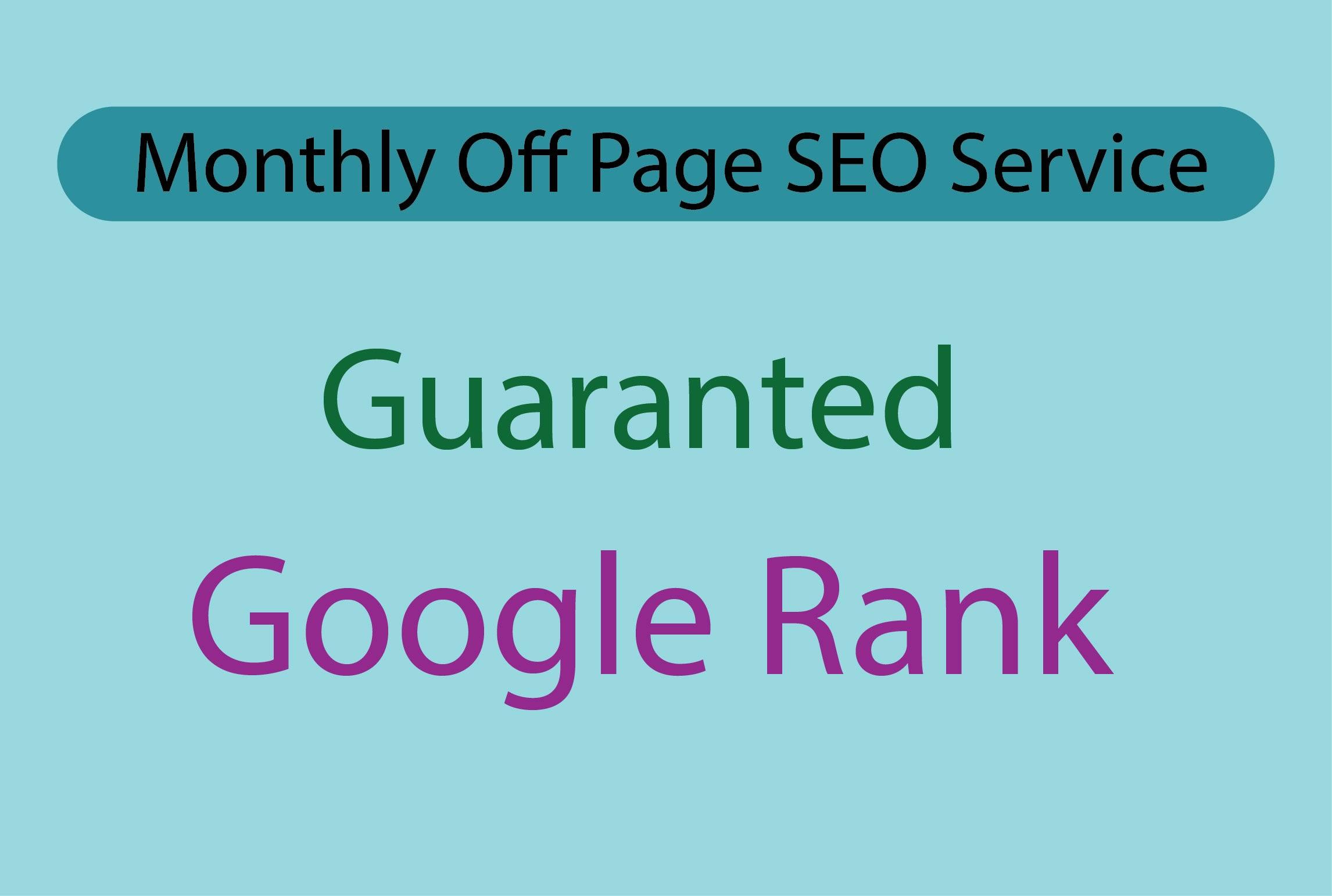 I will Provide monthly complete SEO service for your website ranking
