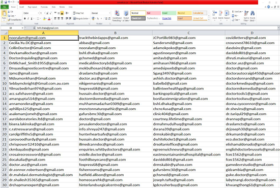collect targeted email list for any niche,b2c, b2b,country in 24 hours