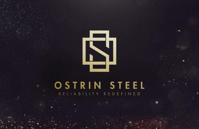 I will make professional logo design with unlimited revisions