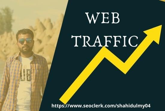 I will bring real visitors, targeted web traffic boost SEO