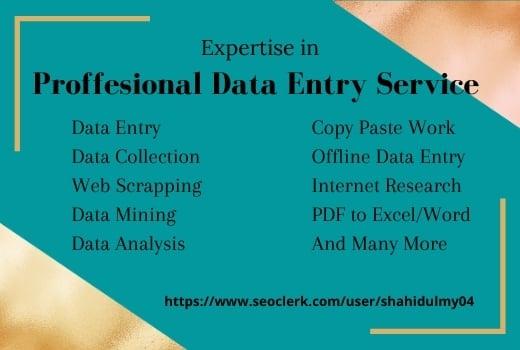 I can support your virtual assistant for data entry, data mining, copy paste, web research