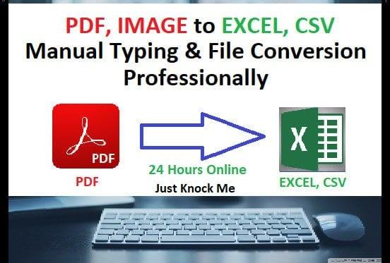 i will create fast and accurate PDF conversion 2020