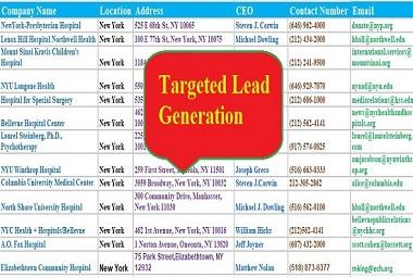 I will do 100 Targeted b2b Lead Generation Linkedin lead
