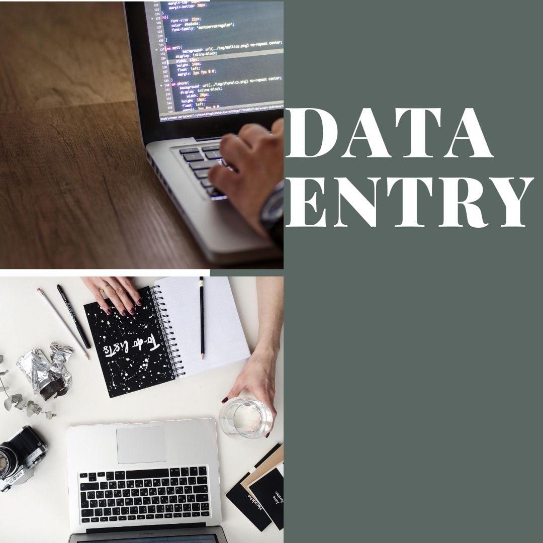 Data entry, research and formatting for 1 hour 