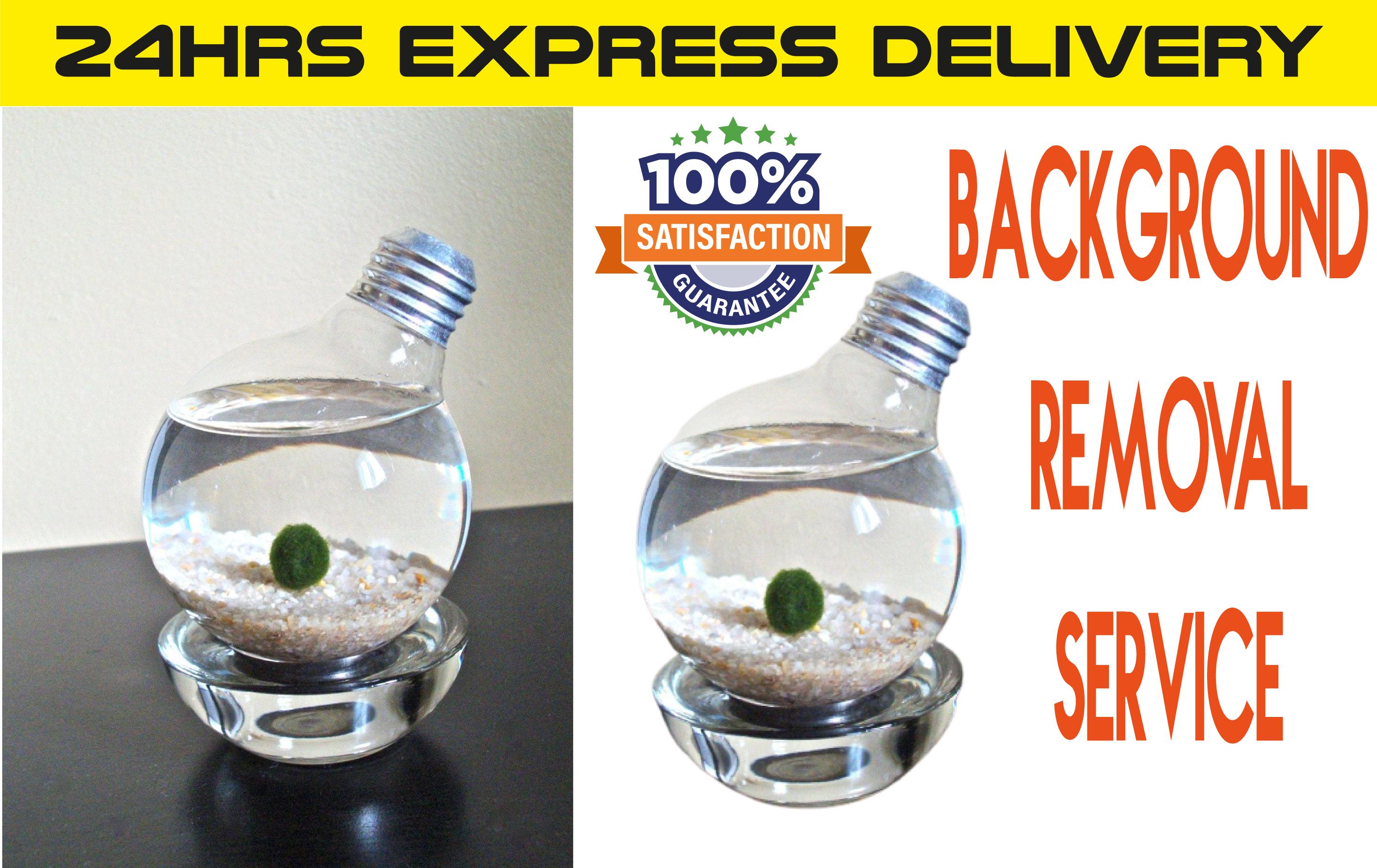 I will do editing remove background face swap retouching resizing within 6 hours