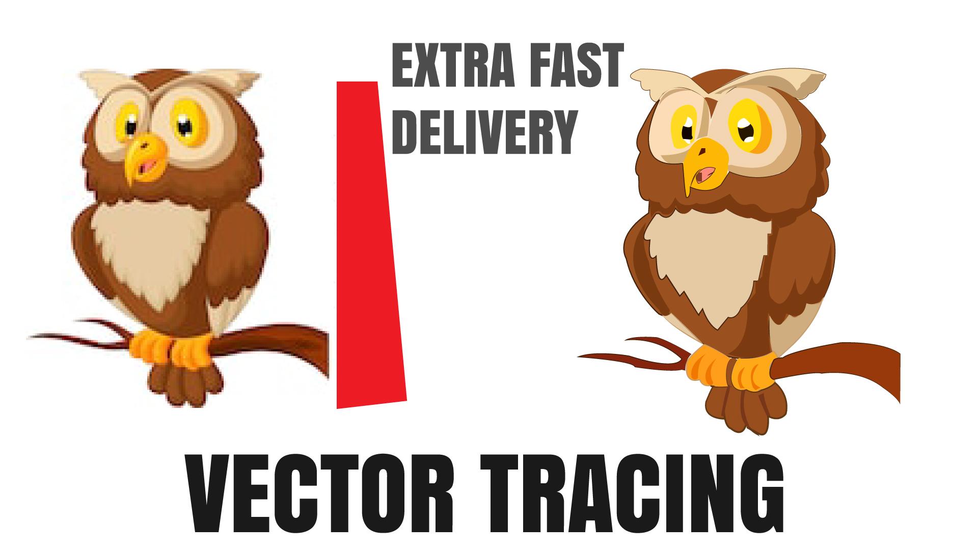 I will vectorize tracing redraw convert file logo artwork sketch image to vector ai