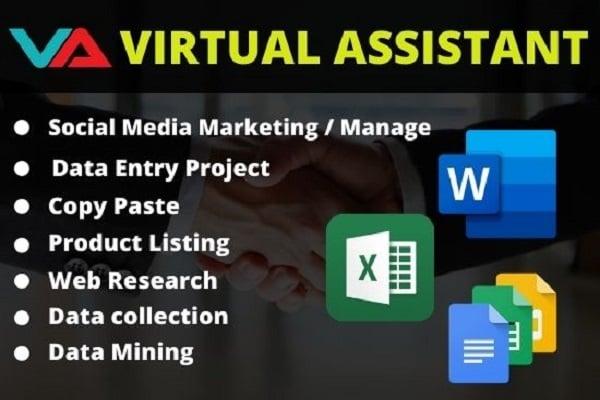 I will be your professional virtual assistant for any kind of work