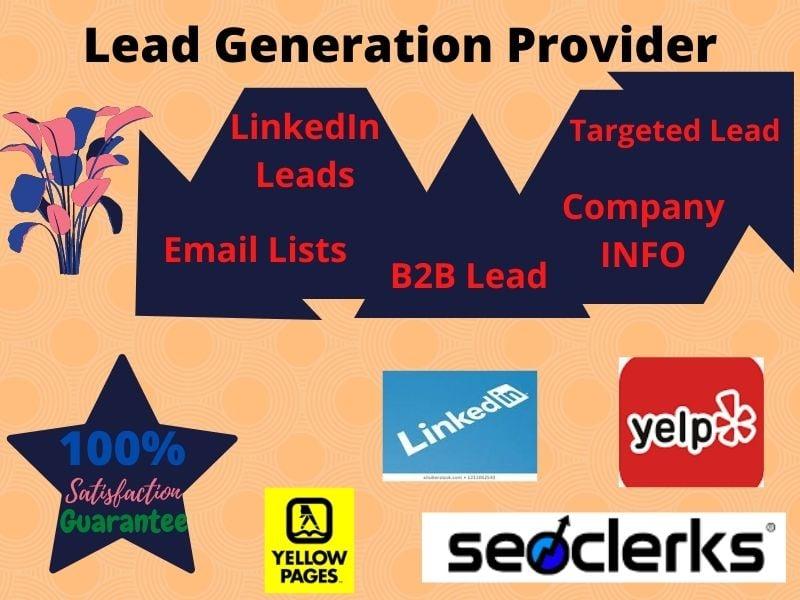 I will find targeted LinkedIn leads and email lists for your business 