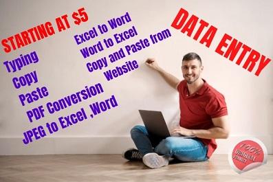 I will do data entry ,web research , excel data entry and copy paste 