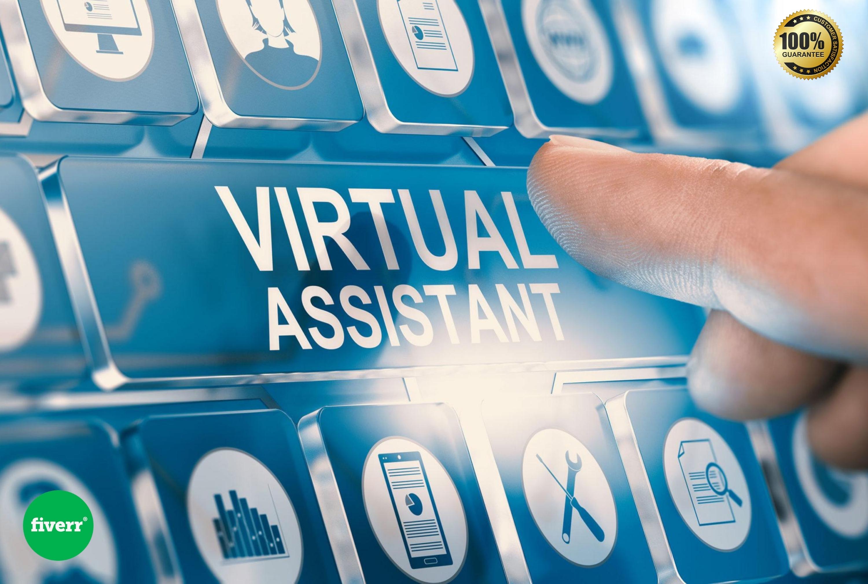 I will be your professional virtual assistant for data entry and web research