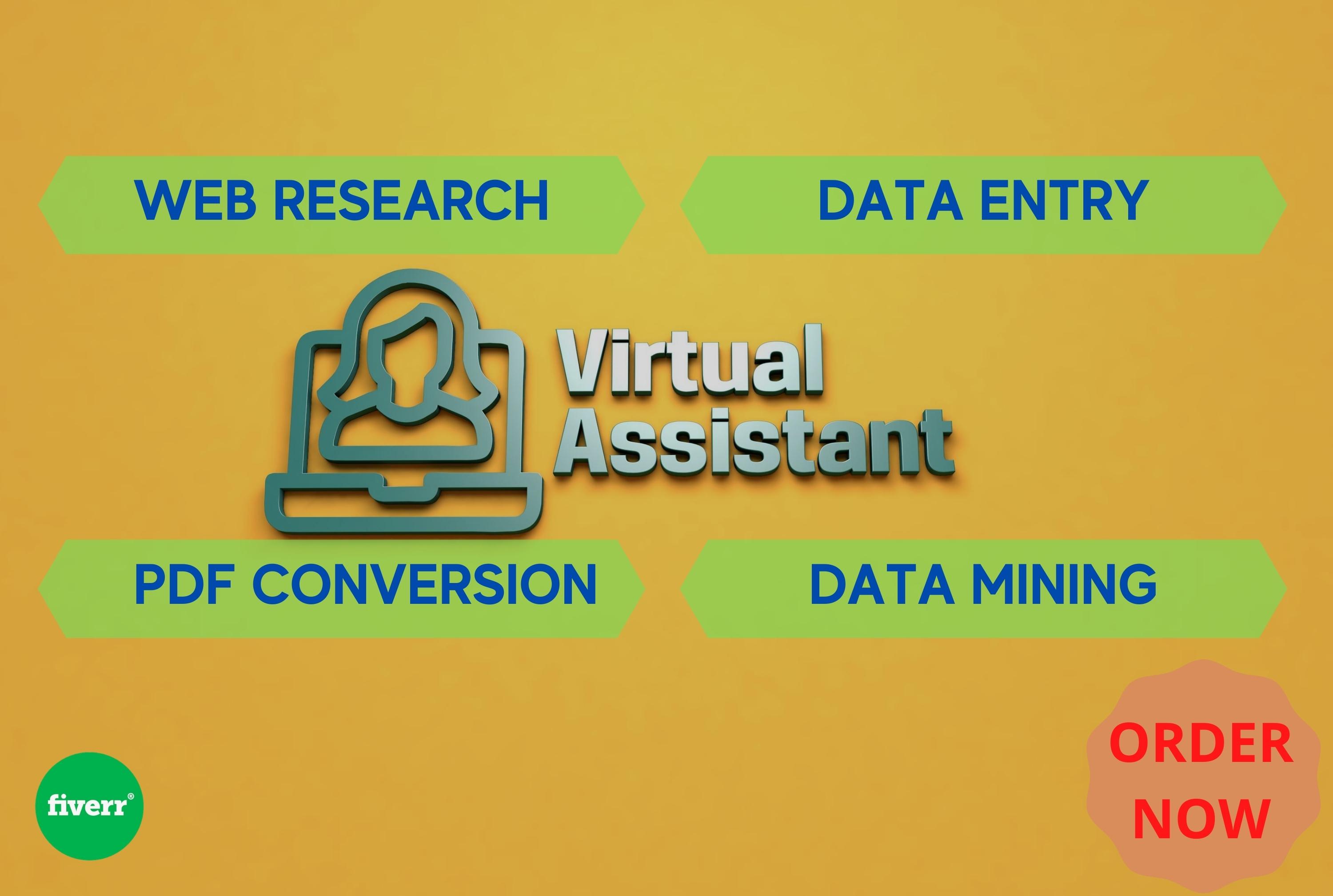I will be your professional virtual assistant for data entry and web research