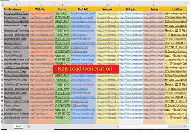 I will Generate 100 Targeted b2b Lead Generation for your business