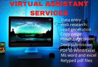I will be your perfect Virtual Assistant for data entry, lead generation and web research