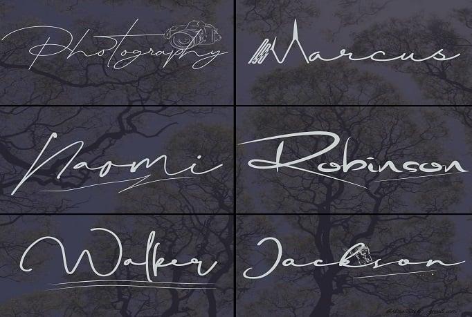 I will do standard and unique signature logo design 