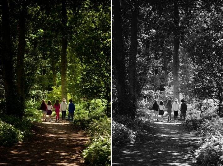 I will do photo restoration and colorize black and white photo