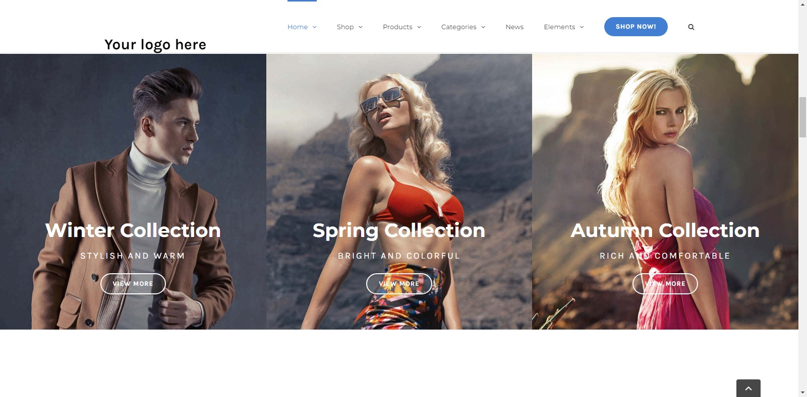 I will Create a Perfect Branded Website