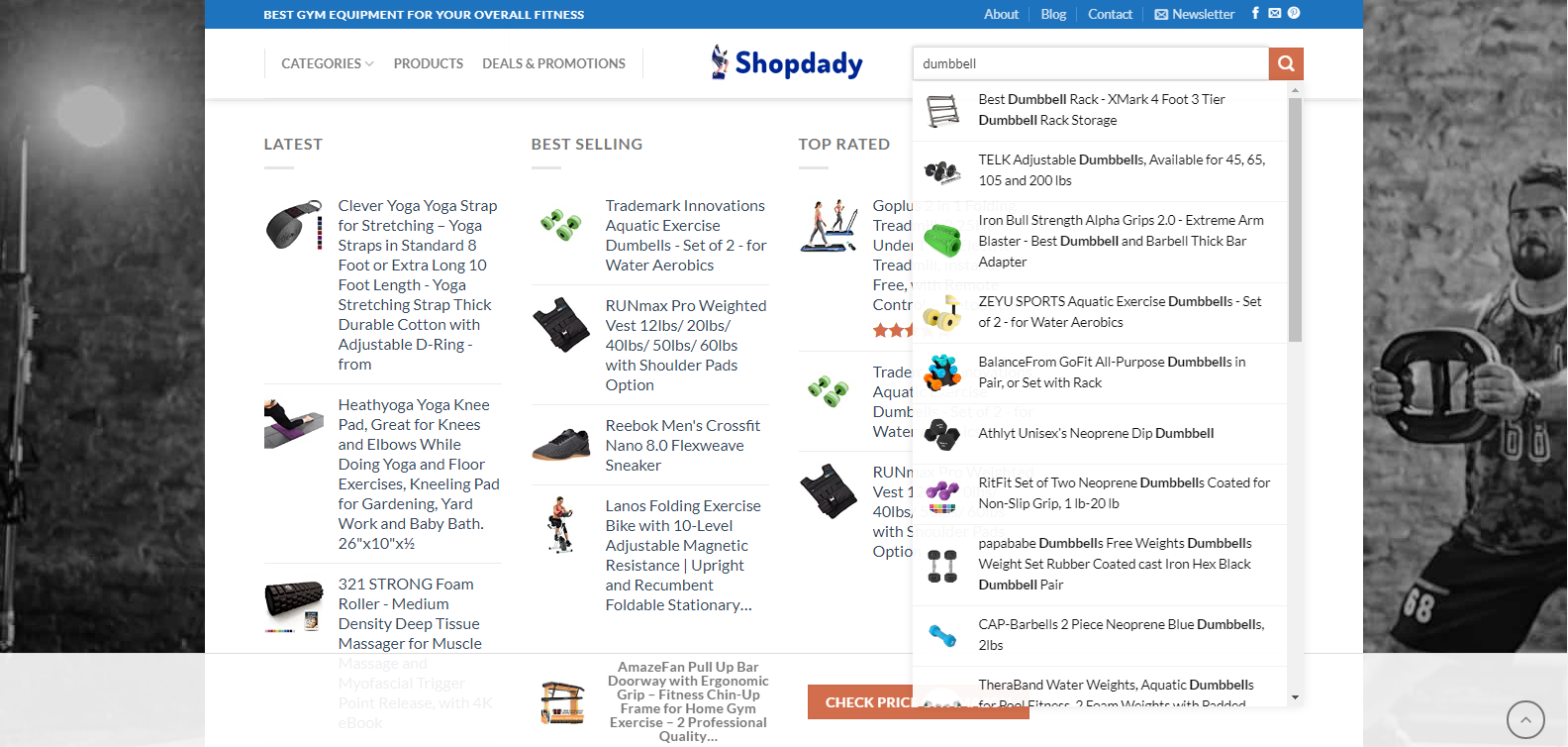 I will create affiliate marketing website and online store