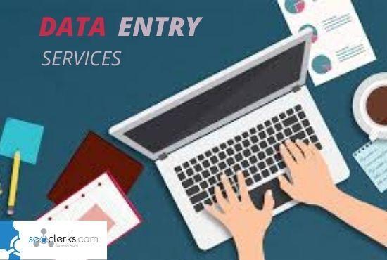 I Will manually do your data entry 99.9% Accurate