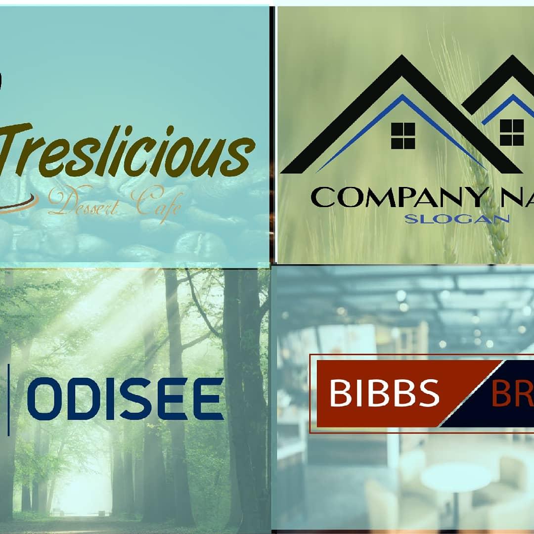 I will create Brand identity Logo design 