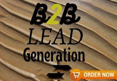 I will provide 100 Niche Based B2B Lead Generation.