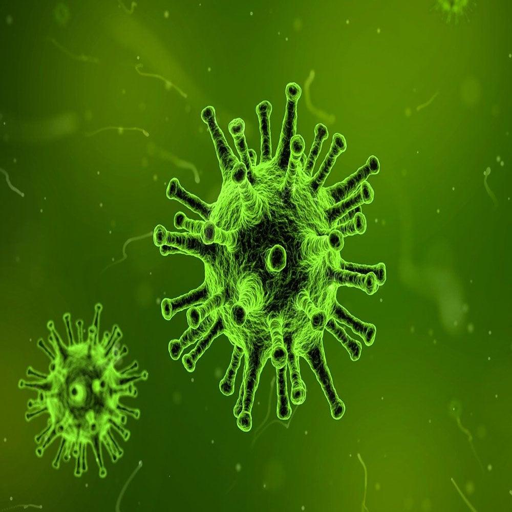 I will Give you 1000 PLR Articles on "Disease_Illness"