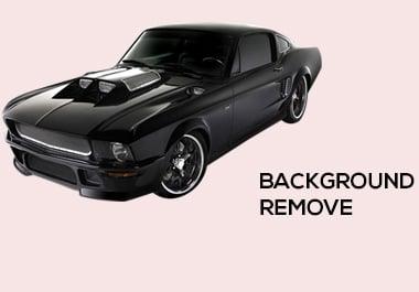 I will remove background professionally and fast delivery.