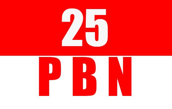 25 High Quality SEO PBN Backlinks