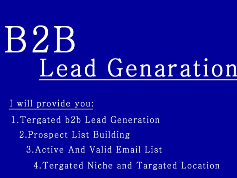 I will provide you b2b lead generation and targeted leads 