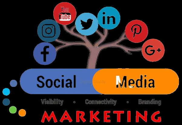 I will Be your facebook professional business page manaI will do SEO keyword research for 1st pagger