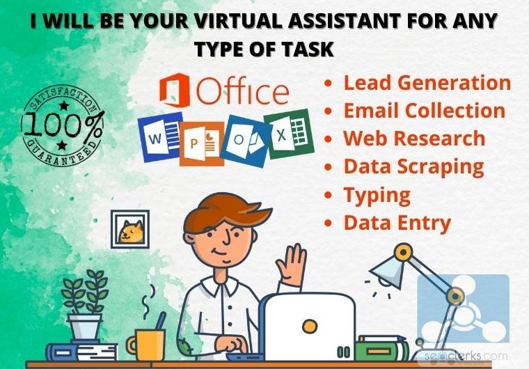 I will be your virtual assistant for any type of online or, offline task.