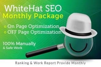 I will do monthly seo services guaranteed first page rankings