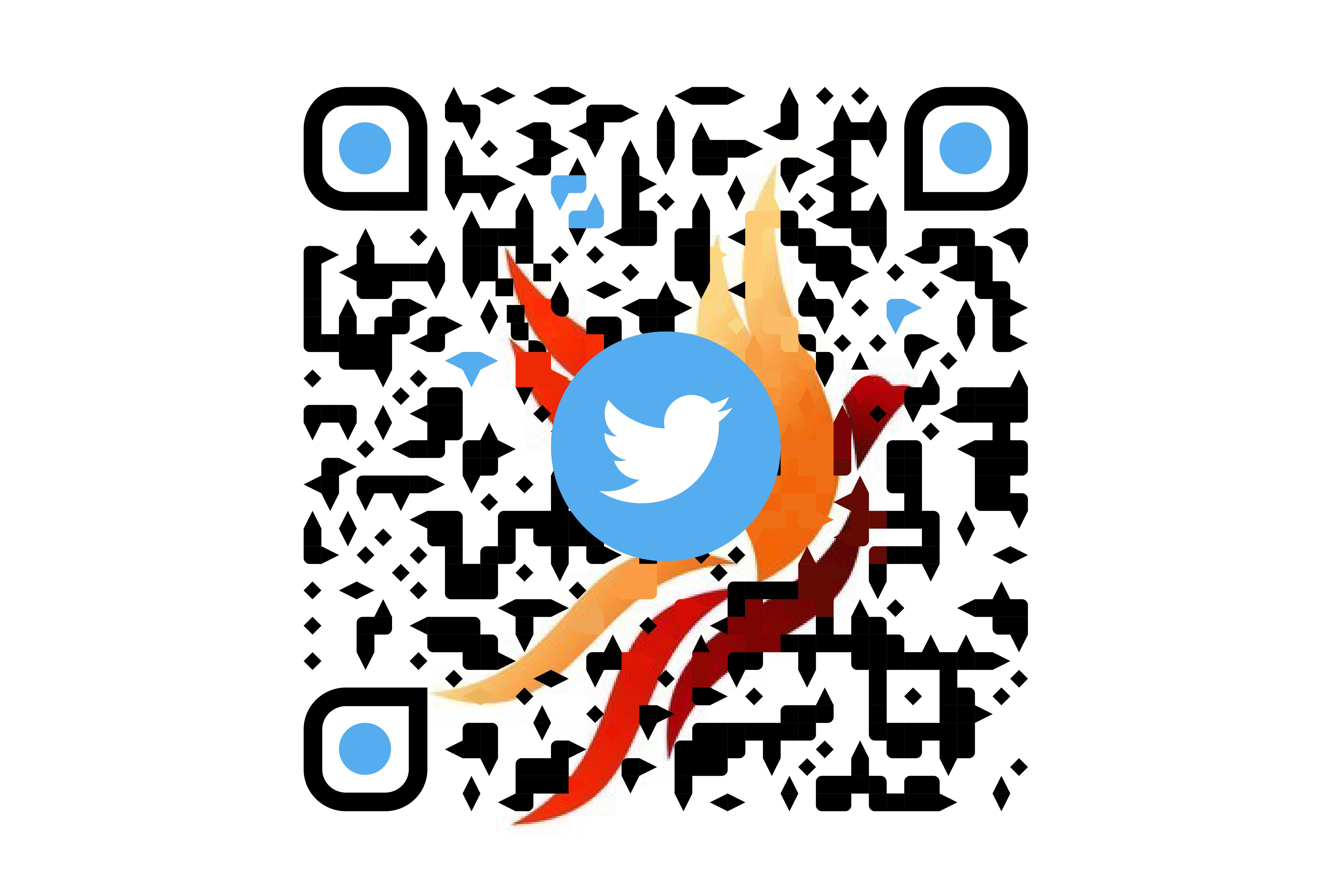 I will create professional custom QR code designs