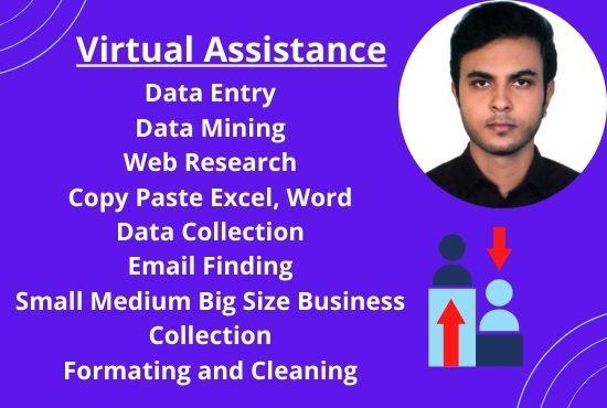 I will be a virtual assistant for your data entry, data mining and web research