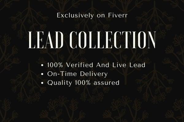 I will do any all kinds of lead generation work