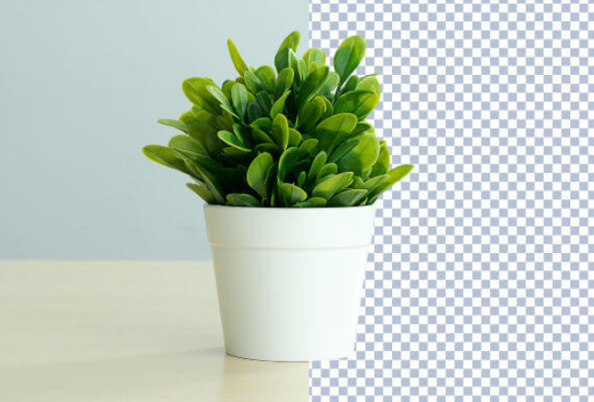 I will provide background remove services 5 within 7 hours