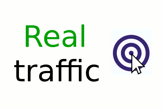 I will drive high organic keyword searched traffic to your site 