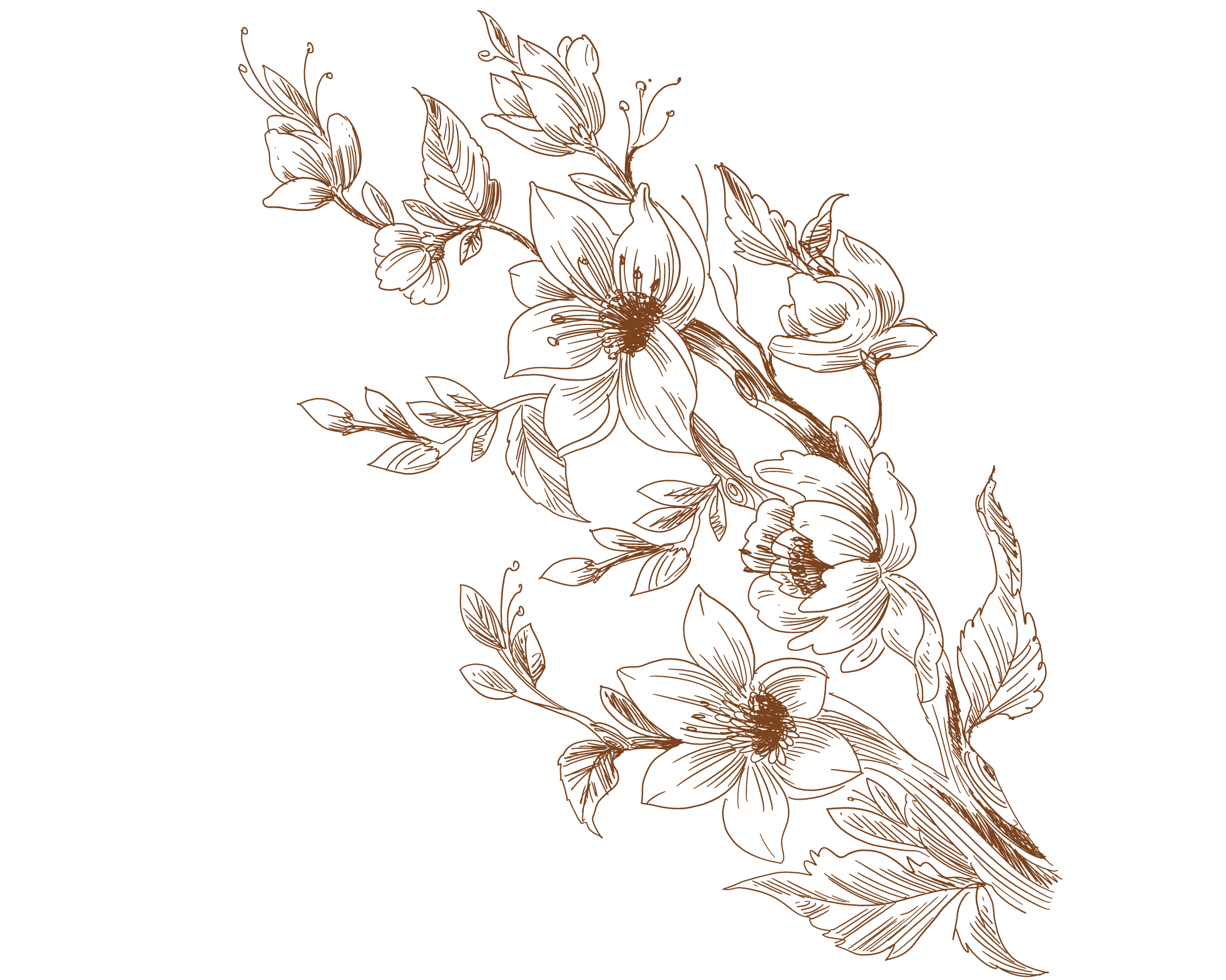 I Will Provide you a Vector Liner Flower With Any color less then 12 hrs 