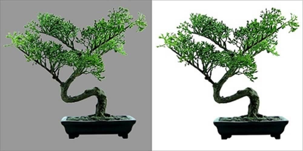 I will do Photo background remove and clipping path less then 24 hours