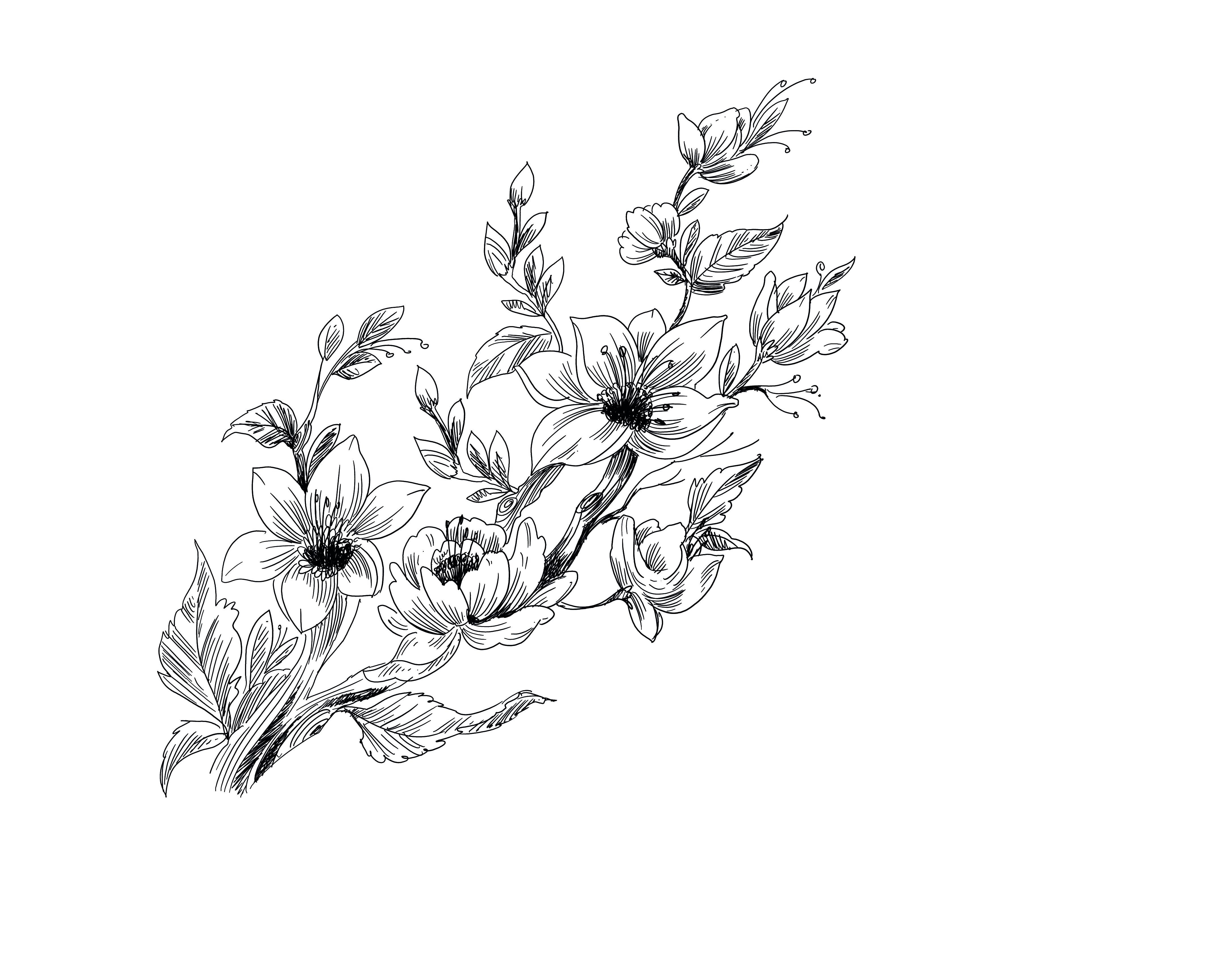 I Will Provide you a Vector Liner Flower With Any color less then 12 hrs 