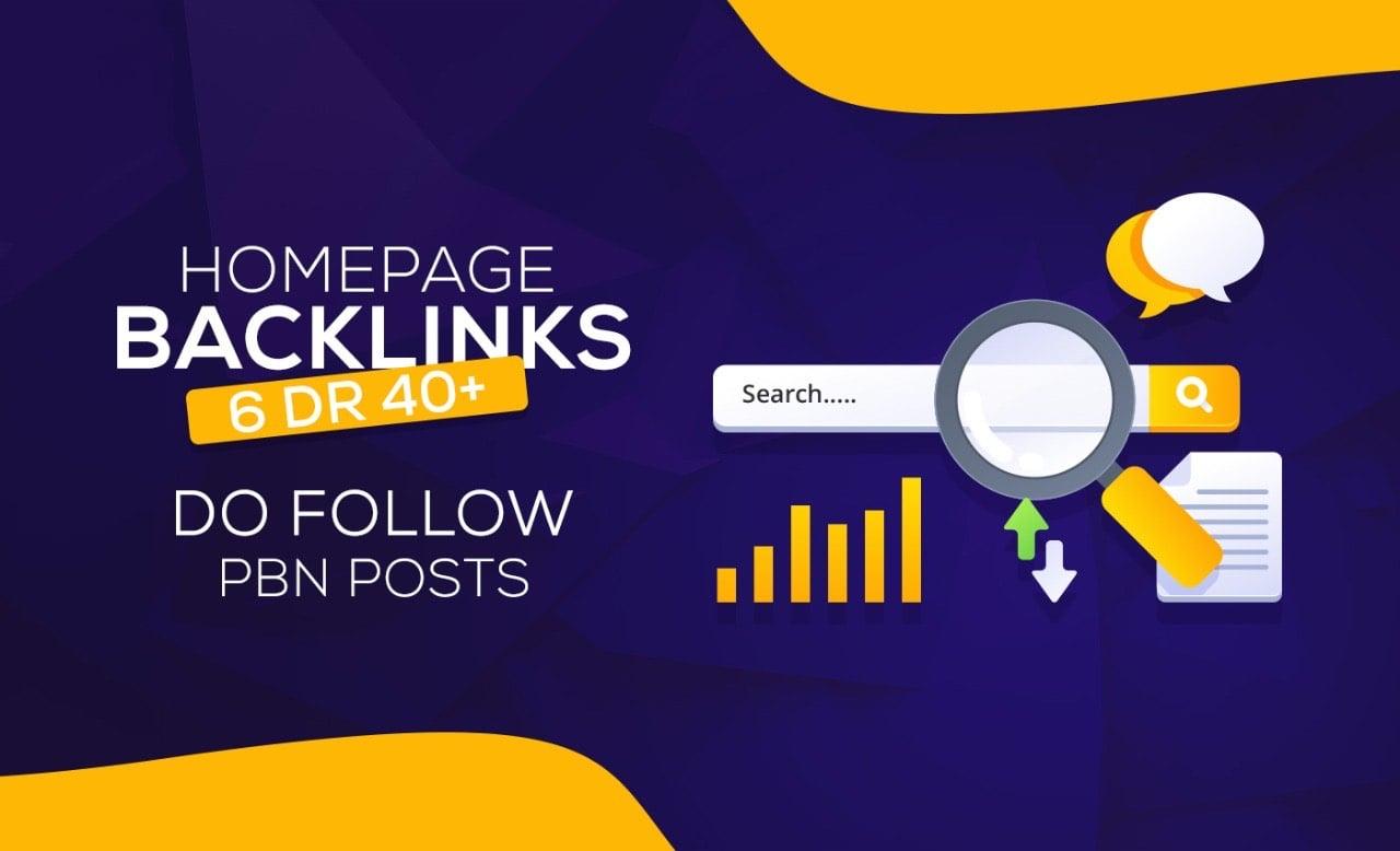6 HIGH DR 40 Plus Manual Homepage PBN Backlinks 
